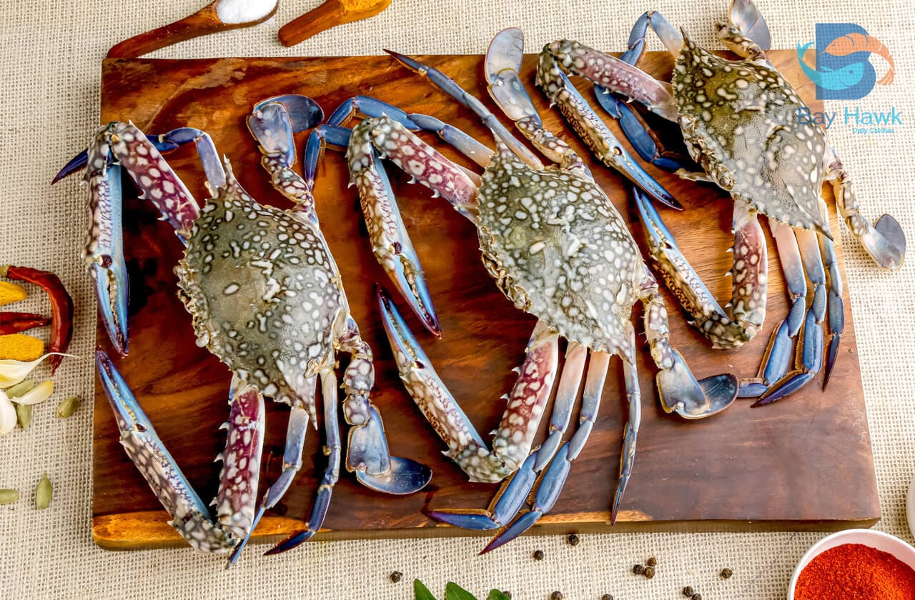 Blue Swimming Crab
